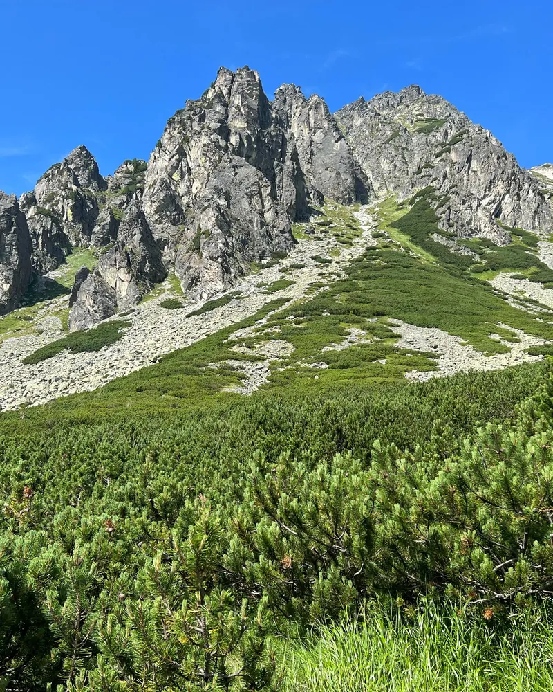 Zielone tatrzańskie zbocza latem